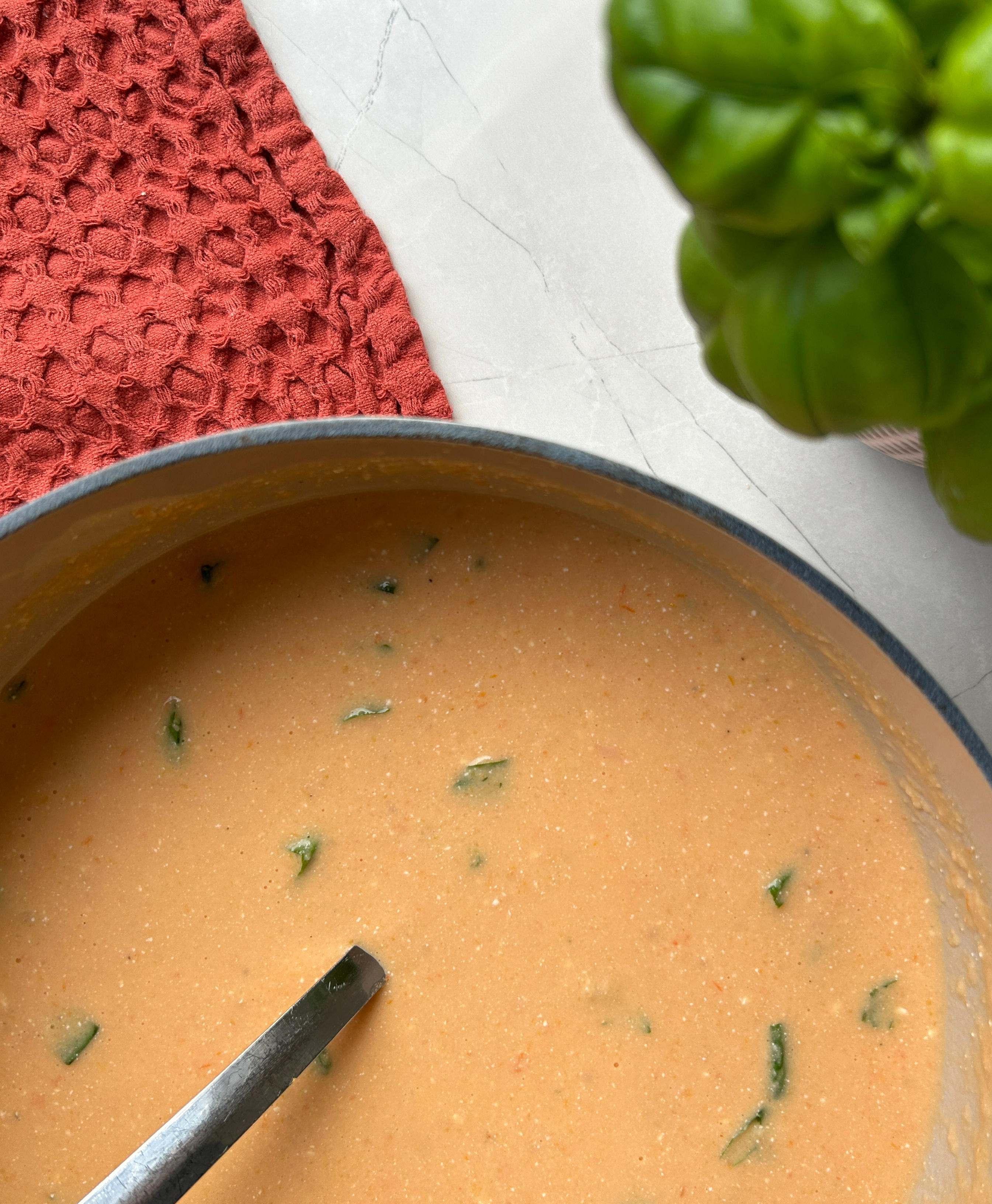 high protein tomato soup