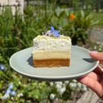 Key Lime Graham Cracker Bars